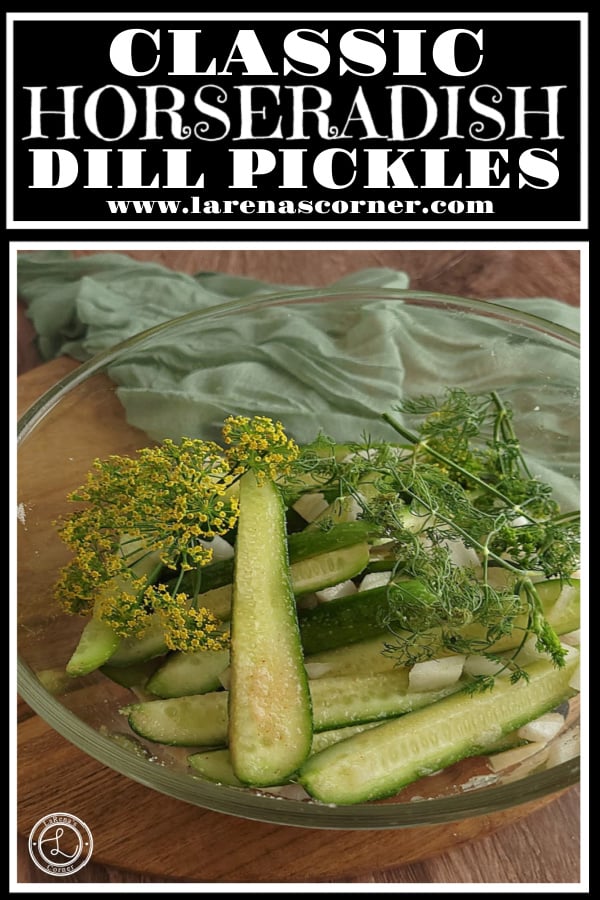 Classic Horseradish Dill Pickles Recipe Classic Horseradish Dill Pickles. A close up view of the ingredients before adding them to the brine.