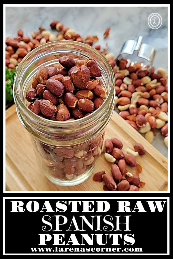Roasted Raw Spanish Peanuts Recipe Roasted Raw Spanish Peanuts in a canning jar with peanuts all around.