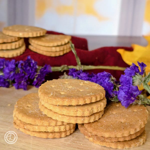Gluten-Free Ritz Crackers Recipe Gluten-Free Ritz Crackers a square photo in front of a window. Stacks of crackers in front of more crackers.